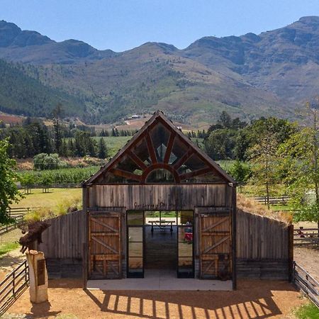 Inspiring Farm Sanctuary And Famous Painting Pig 호텔 프란쉬후크 외부 사진