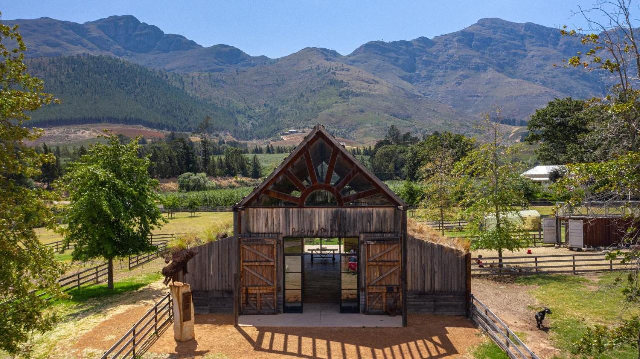 Inspiring Farm Sanctuary And Famous Painting Pig 호텔 프란쉬후크 외부 사진