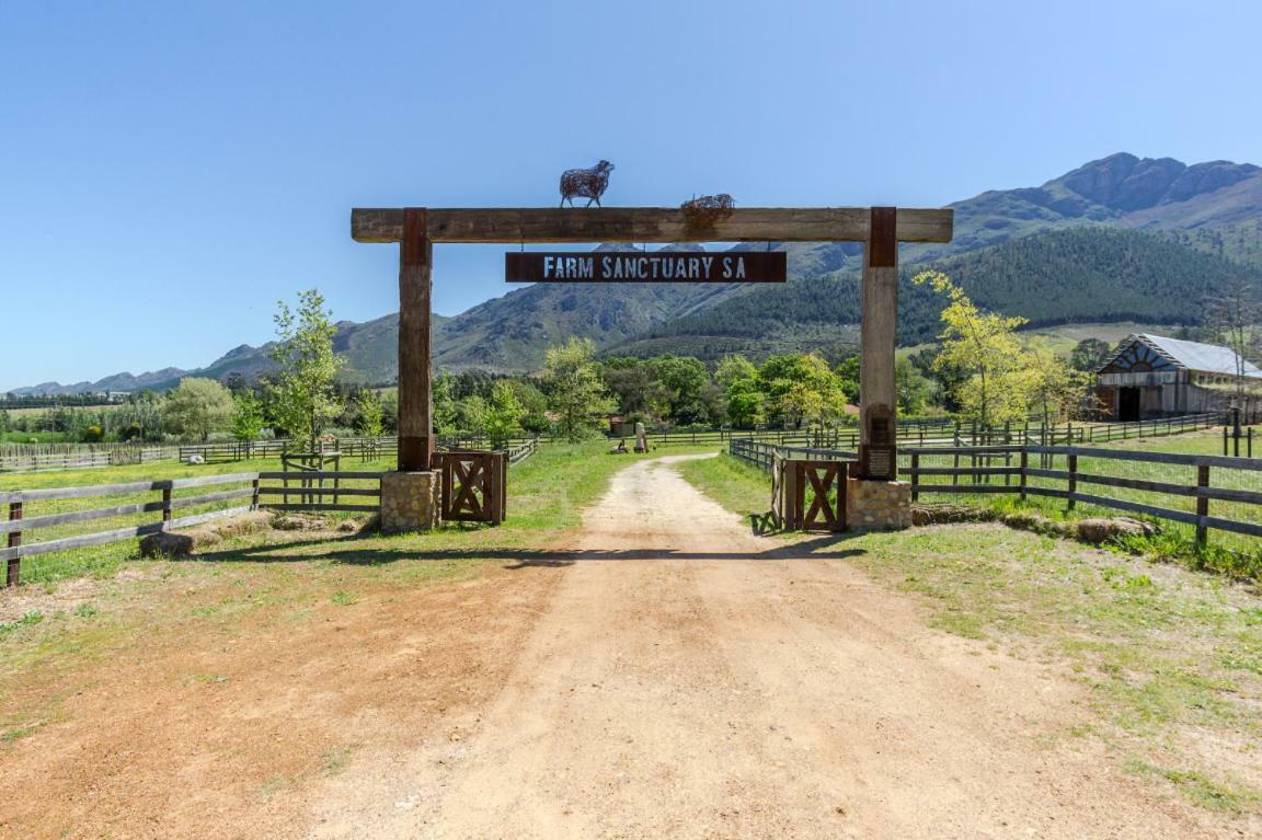 Inspiring Farm Sanctuary And Famous Painting Pig 호텔 프란쉬후크 외부 사진